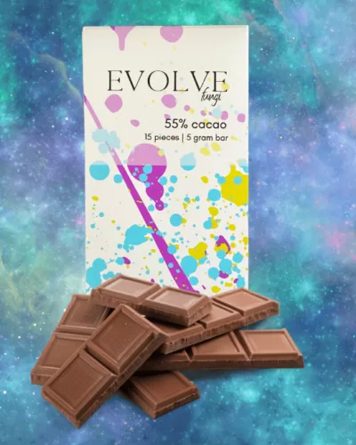 Vegan cosmic mushroom chocolate bar with galaxy wrapper by Evolve Fungi