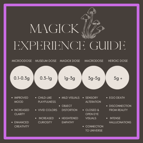 Mystic Mushroom Capsules - Image 3