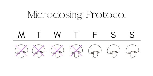 protocol chart